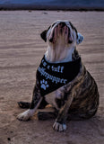 I'M A TUFF MOTHERPUPPER Dog Bandana