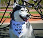 BOYS WHATEVER, DOGS FOREVER Dog Bandana